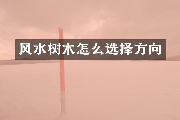 风水树木怎么选择方向