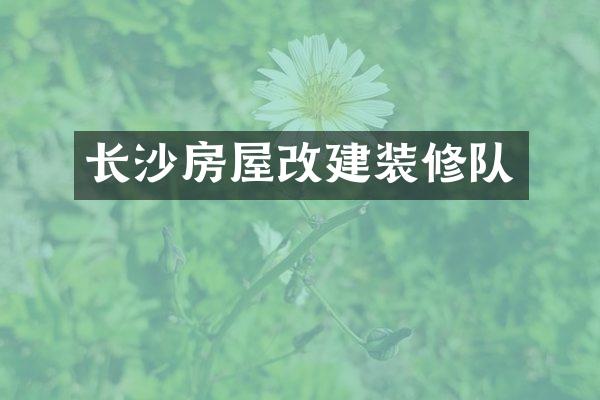 长沙房屋改建装修队