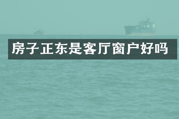 房子正东是客厅窗户好吗