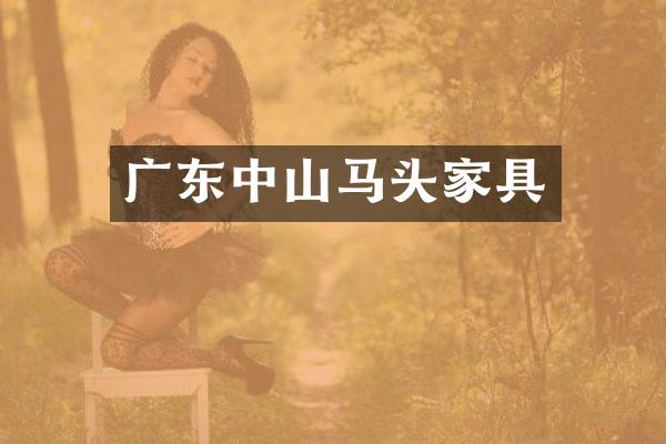 广东中山马头家具