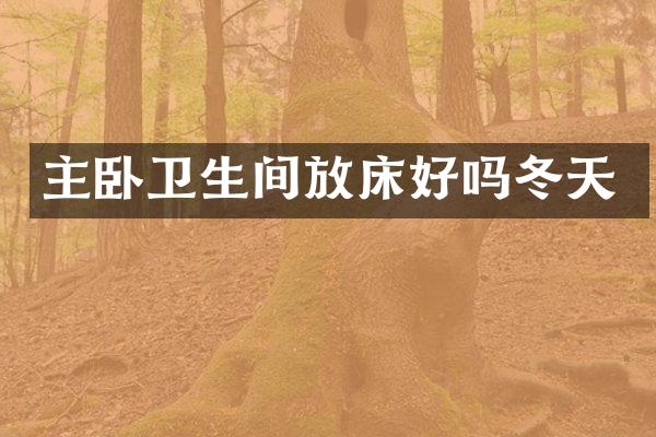 主卧卫生间放床好吗冬天