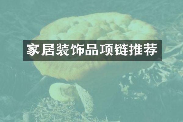 家居装饰品项链推荐