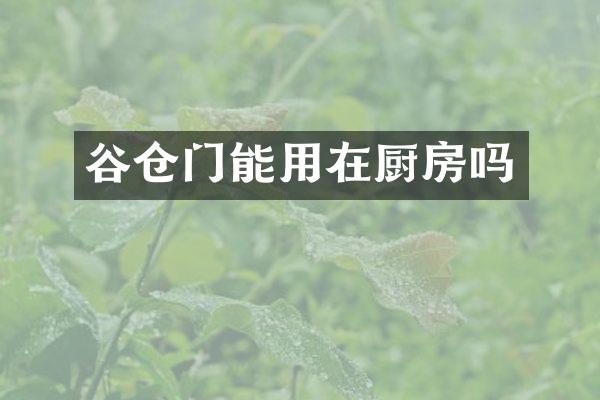 谷仓门能用在厨房吗