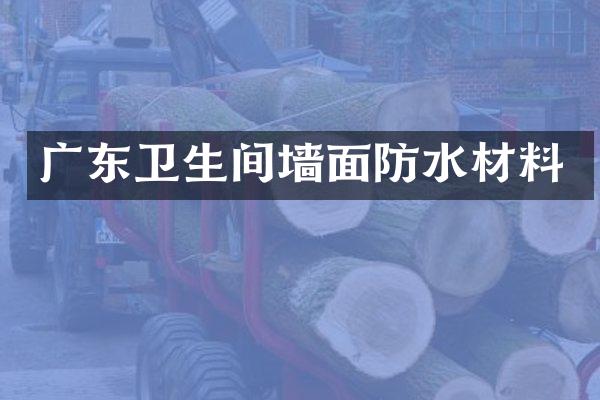 广东卫生间墙面防水材料