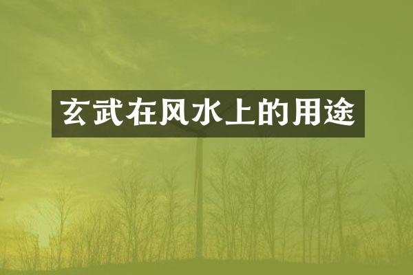 玄武在风水上的用途