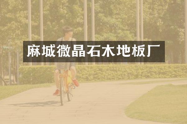 麻城微晶石木地板厂