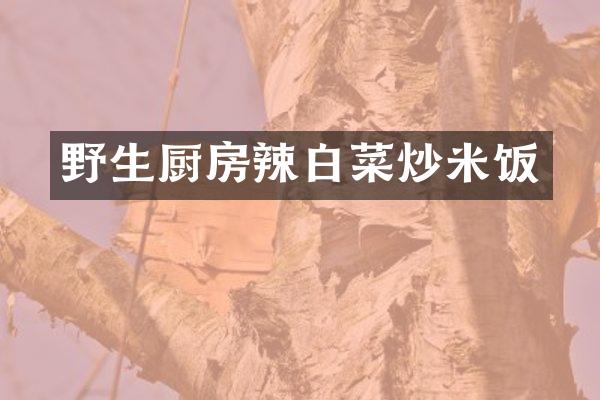 野生厨房辣白菜炒米饭