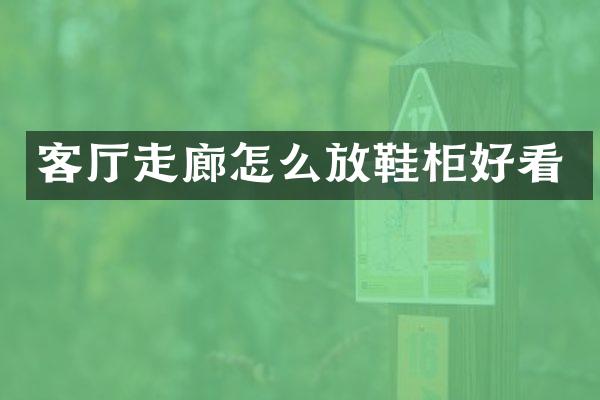 客厅走廊怎么放鞋柜好看