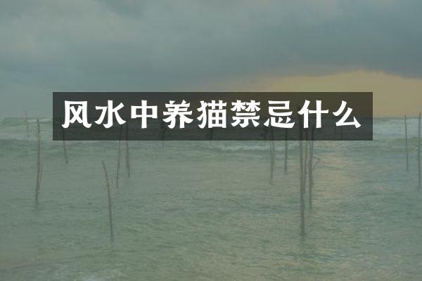 风水中养猫禁忌什么
