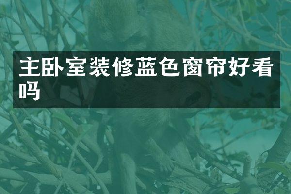 主卧室装修蓝色窗帘好看吗