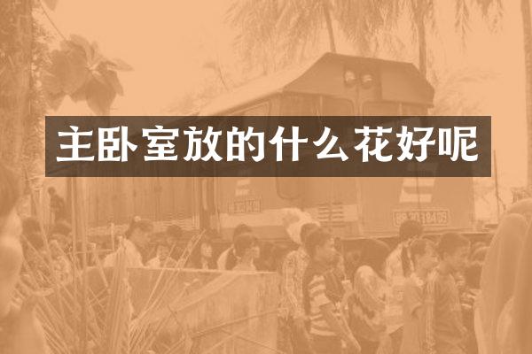 主卧室放的什么花好呢