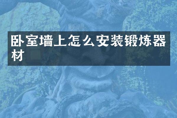 卧室墙上怎么安装锻炼器材