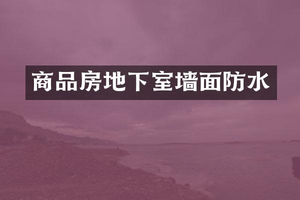 商品房地下室墙面防水