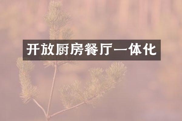 开放厨房餐厅一体化
