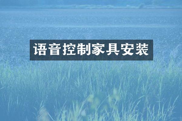 语音控制家具安装