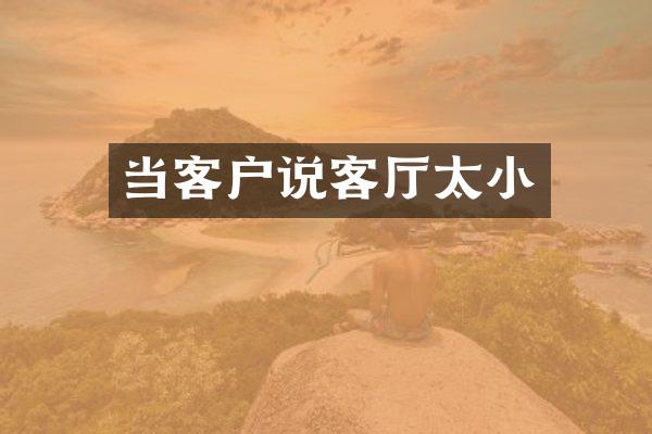 当客户说客厅太小