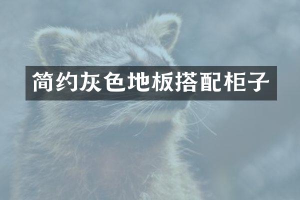 简约灰色地板搭配柜子