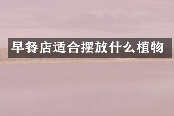 早餐店适合摆放什么植物