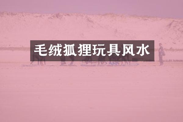 毛绒狐狸玩具风水