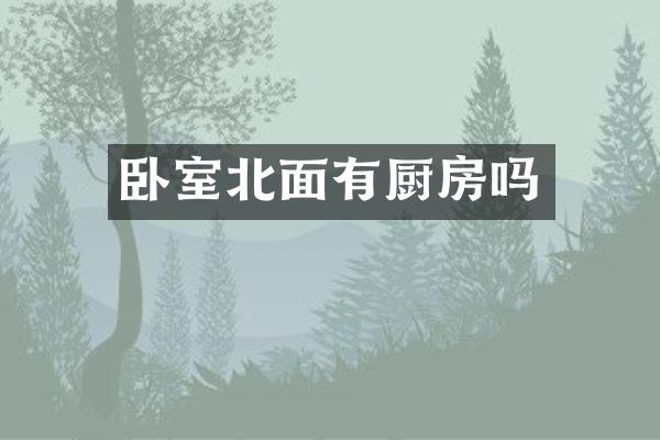 卧室北面有厨房吗