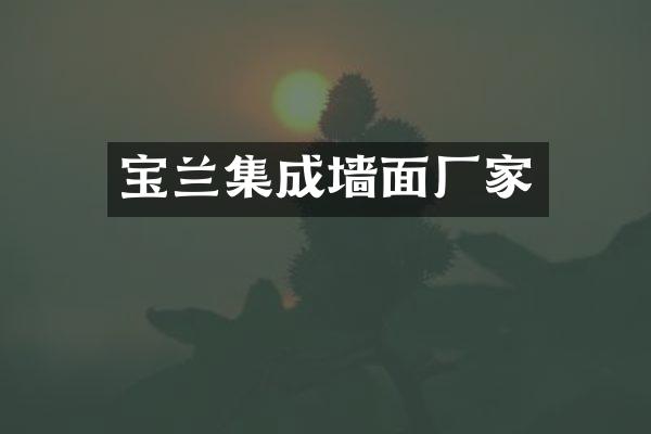宝兰集成墙面厂家
