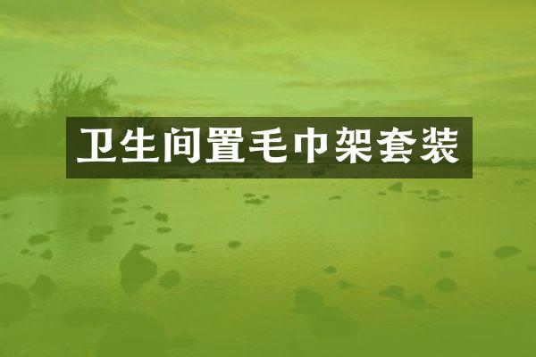 卫生间置毛巾架套装