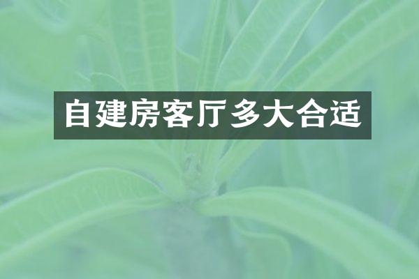 自建房客厅多大合适