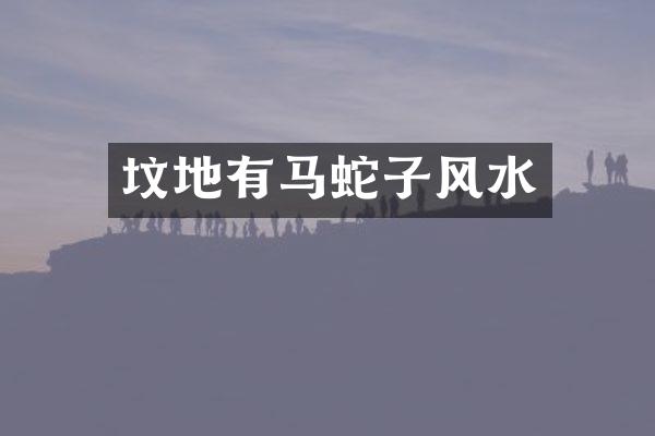 坟地有马蛇子风水