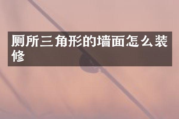 厕所三角形的墙面怎么装修