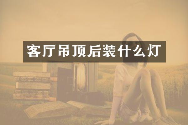 客厅吊顶后装什么灯