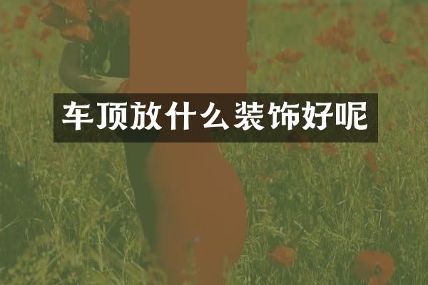 车顶放什么装饰好呢
