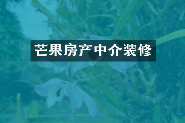 芒果房产中介装修