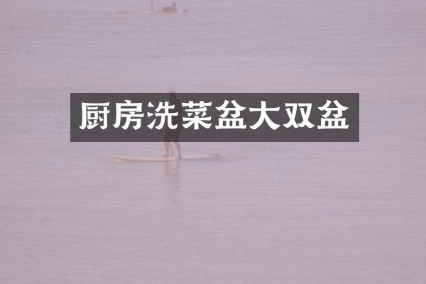 厨房洗菜盆大双盆