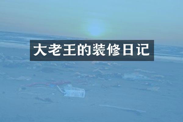 大老王的装修日记