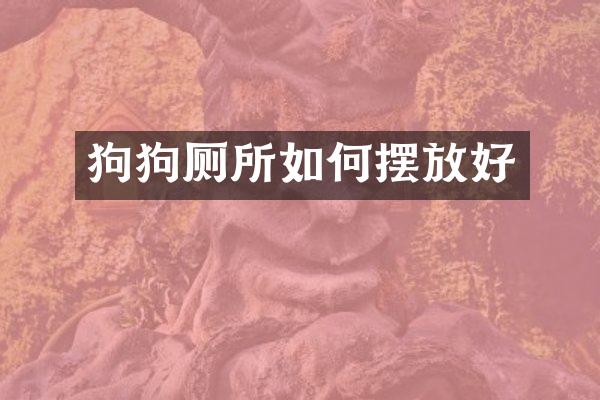 狗狗厕所如何摆放好