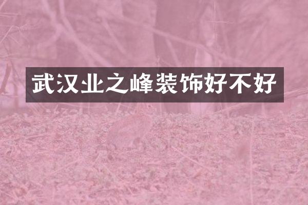 武汉业之峰装饰好不好