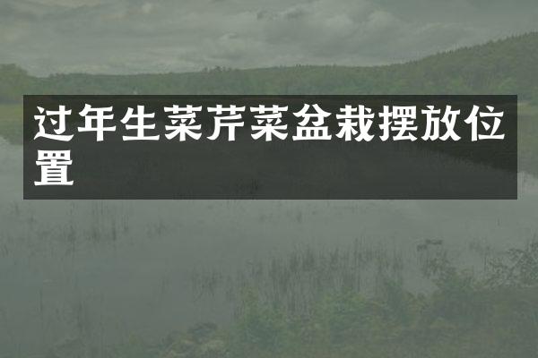 过年生菜芹菜盆栽摆放位置