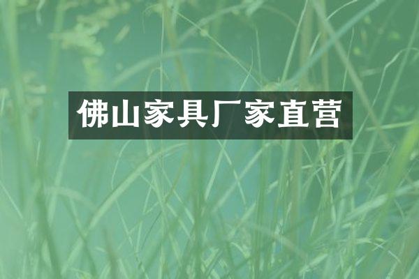 佛山家具厂家直营