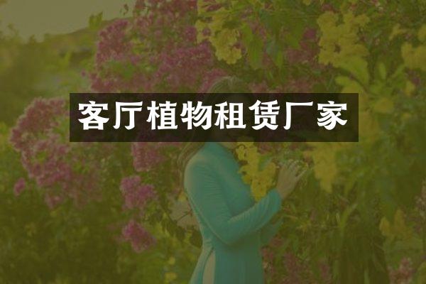 客厅植物租赁厂家