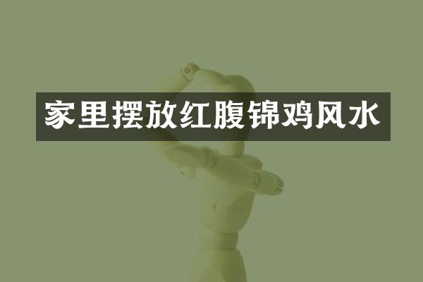 家里摆放红腹锦鸡风水