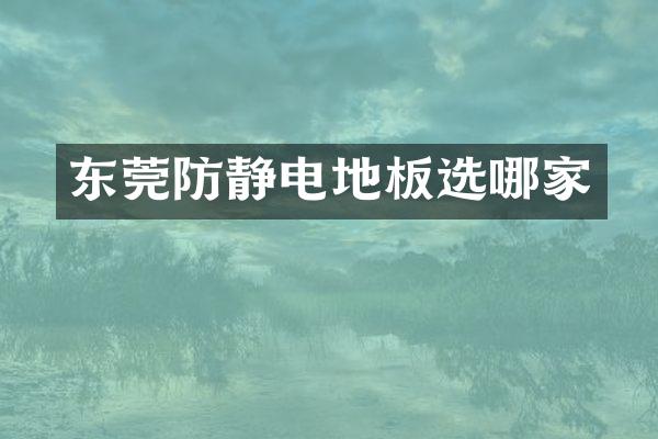 东莞防静电地板选哪家