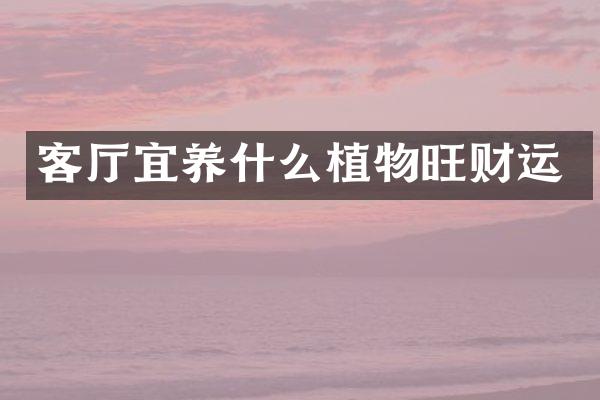 客厅宜养什么植物旺财运