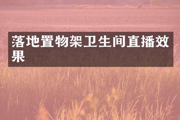 落地置物架卫生间直播效果