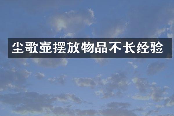 尘歌壶摆放物品不长经验