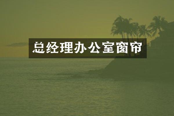 总经理办公室窗帘