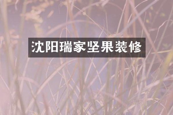 沈阳瑞家坚果装修