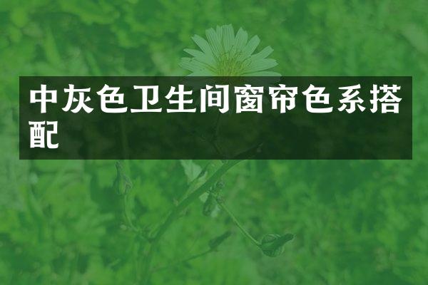 中灰色卫生间窗帘色系搭配