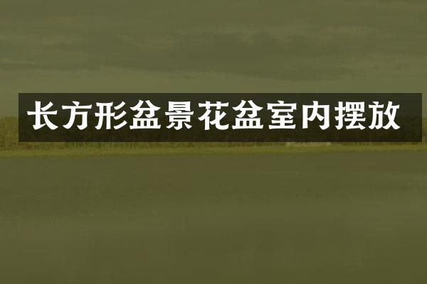 长方形盆景花盆室内摆放