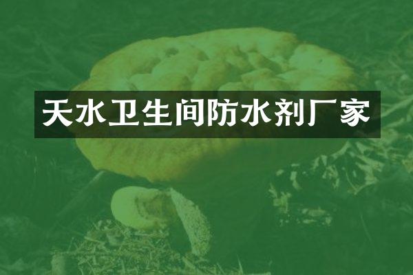 天水卫生间防水剂厂家