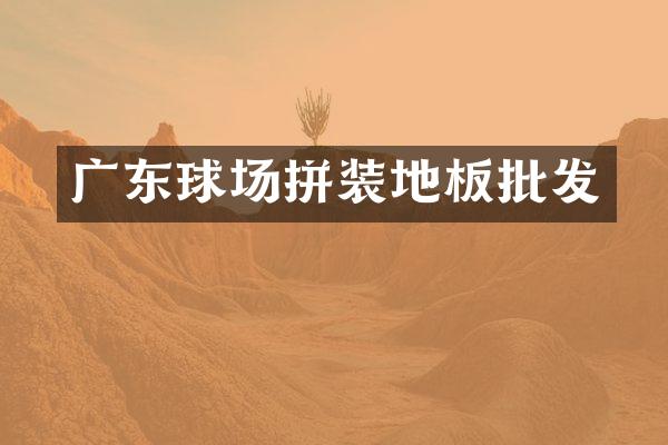 广东球场拼装地板批发